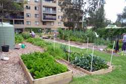 Miranda Community Garden