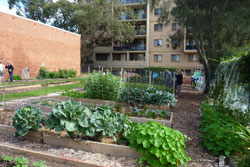 Miranda Community Garden