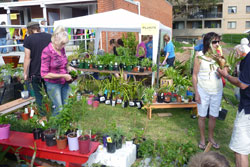2011 Fete