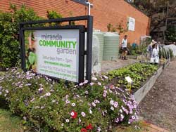 Cmmunity Garden 2016