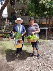 Cmmunity Garden 2016