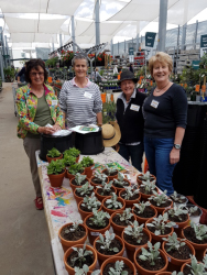 Cmmunity Garden 2017