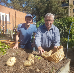 Miranda Community Garden