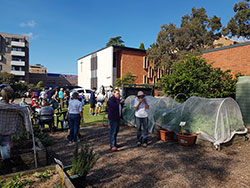 Outback BBQ and Concert