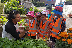 Miranda Community Garden