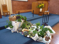 Miranda Community Garden