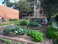 Miranda Community Garden
