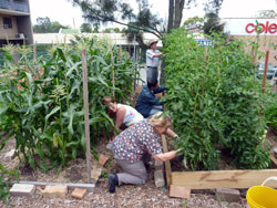 Miranda Community Garden